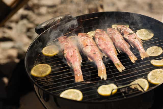 Wood-Fire Grill